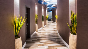 Spa view of main hallway.